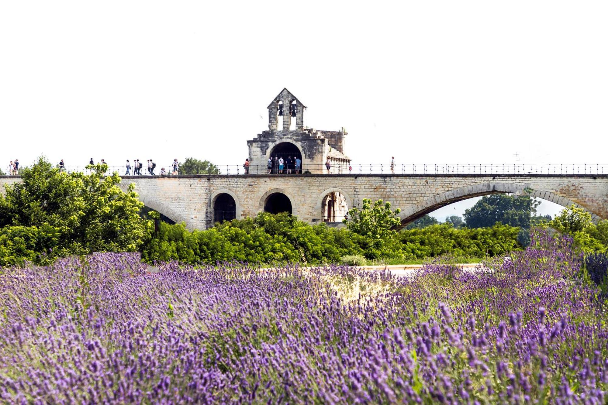 Villeneuve-lès-Avignon Camping Les Avignon - La Laune מראה חיצוני תמונה
