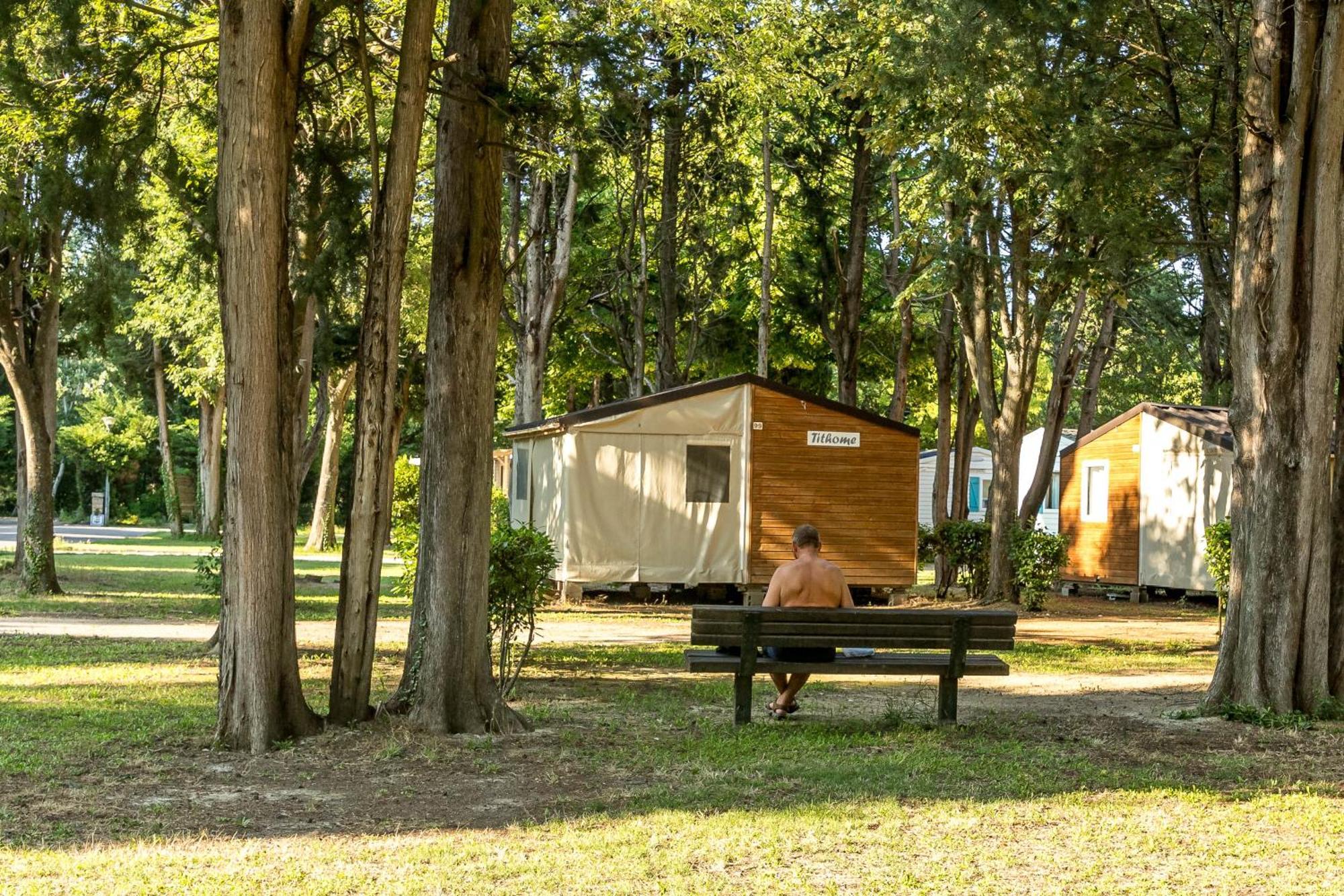 Villeneuve-lès-Avignon Camping Les Avignon - La Laune מראה חיצוני תמונה